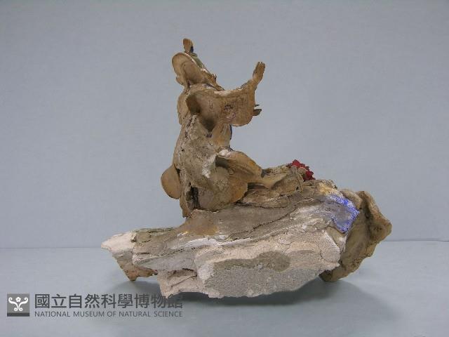 四鳳亭藏品圖，第5張