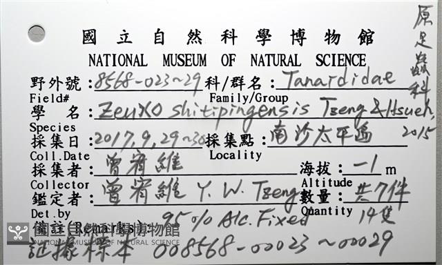 石梯坪聯蟲藏品圖，第5張