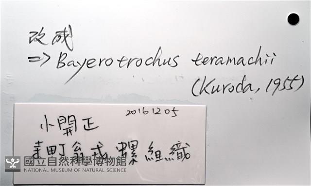 寺町翁戎螺藏品圖，第5張