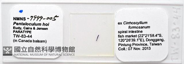新種葉槽絛蟲藏品圖，第5張