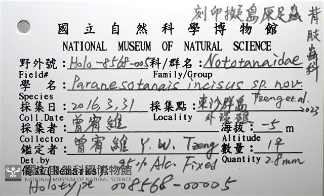 刻印擬島原足蟲藏品圖，第5張