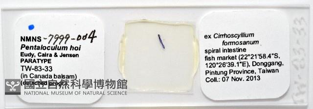 新種葉槽絛蟲藏品圖，第5張