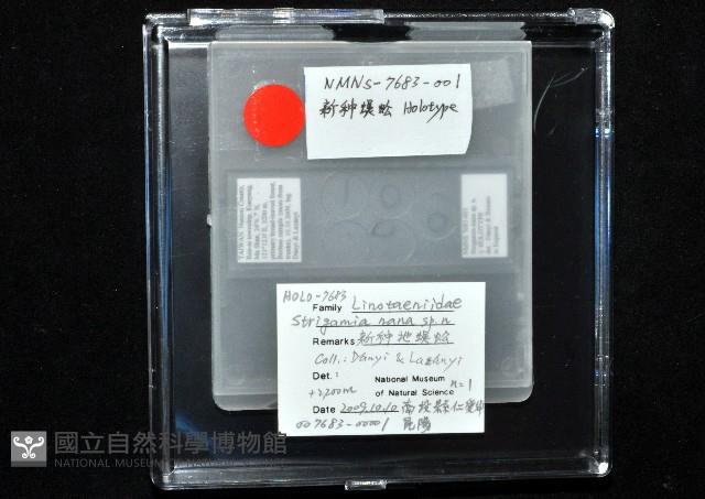 新種昆陽地蜈蚣藏品圖，第5張