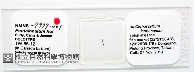 新種葉槽絛蟲藏品圖，第5張