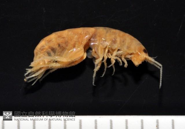 Accession Number:002191-00001 Collection Image, Figure 5, Total 8 Figures