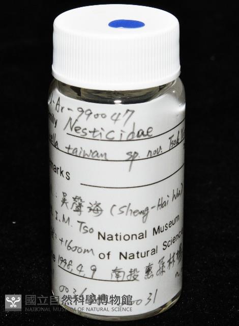 臺灣奈斯蛛藏品圖，第5張