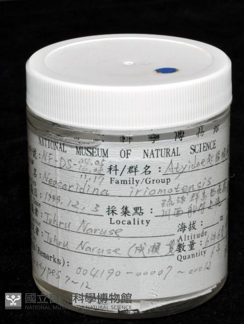 西表島新米蝦藏品圖，第5張
