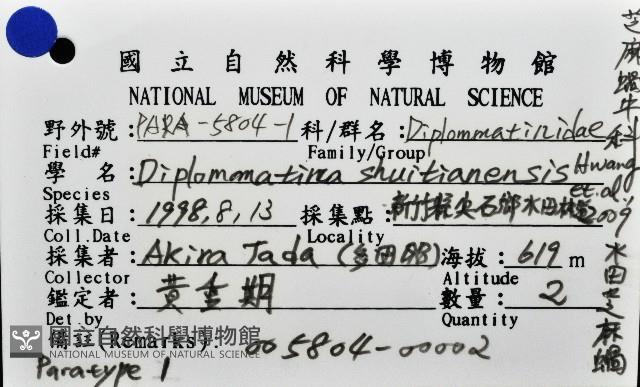 水田芝麻蝸藏品圖，第5張