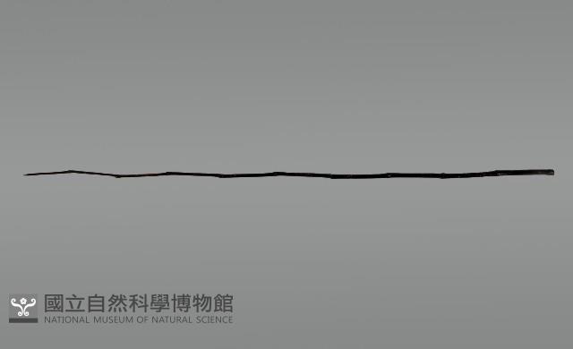 上掛葫蘆小祭桿藏品圖，第5張