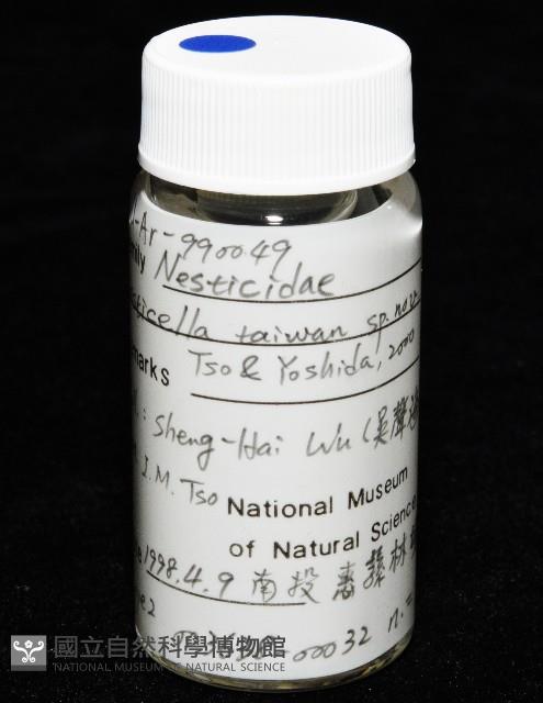 臺灣奈斯蛛藏品圖，第5張