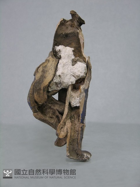 八角斗藏品圖，第165張
