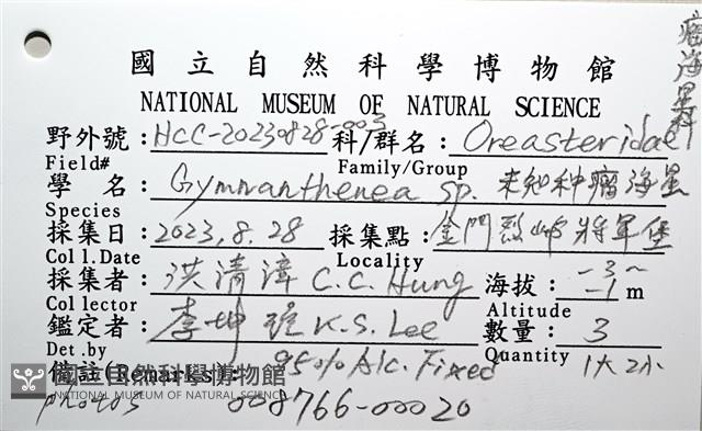 未知種瘤海星藏品圖，第30張