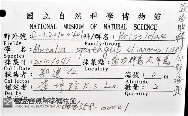 心形海壺藏品圖，第30張