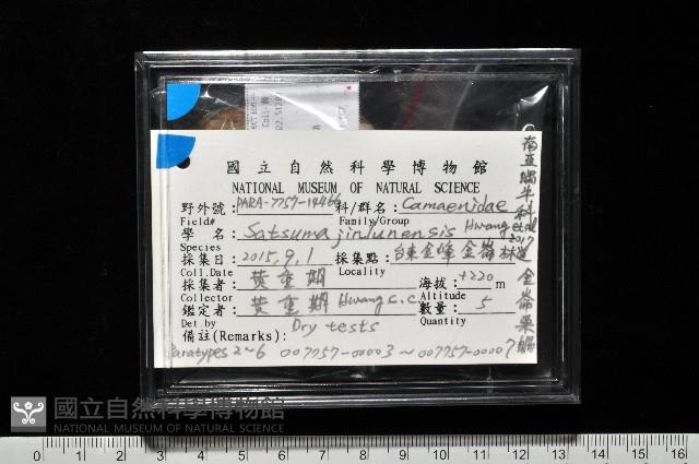 金崙栗蝸藏品圖，第10張