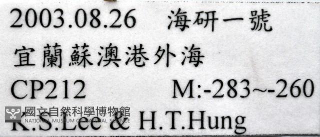 軍武刺鎧蝦藏品圖，第10張