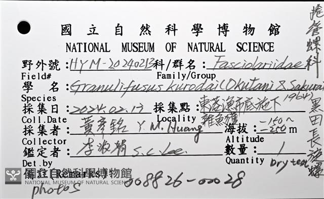 黑田長旋螺藏品圖，第10張