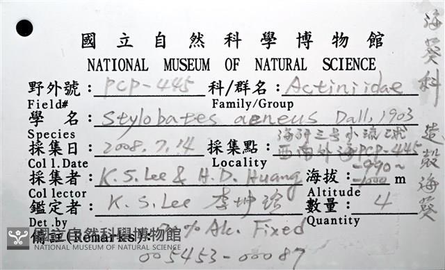 造殼海葵之一種藏品圖，第10張