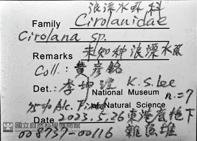 未知種浪漂水虱藏品圖，第10張