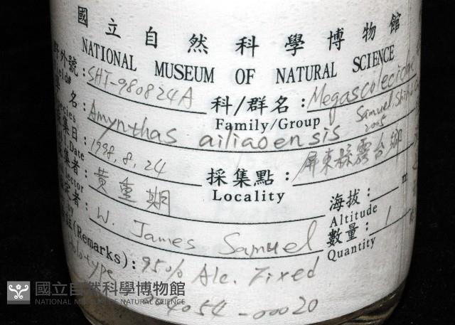 隘寮遠環蚓藏品圖，第10張