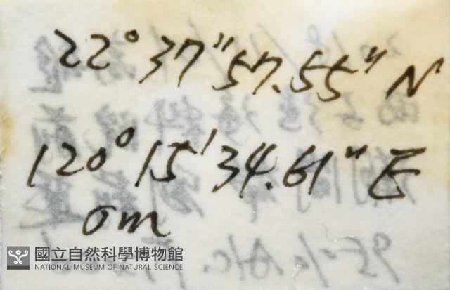 文蛤藏品圖，第10張