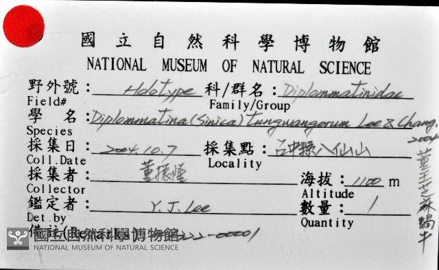 董王芝麻蝸牛藏品圖，第10張
