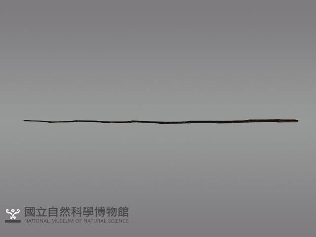 五年祭刺球架模型藏品圖，第10張