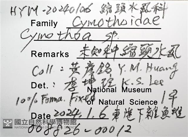 未知種縮頭水虱藏品圖，第10張