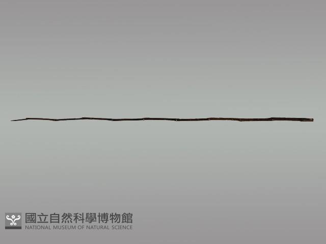 上掛葫蘆小祭桿藏品圖，第10張