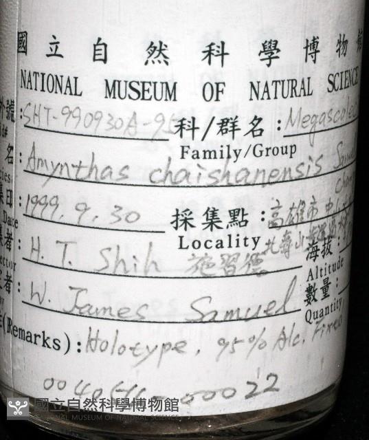 柴山遠環蚓藏品圖，第10張