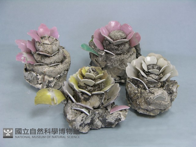 八角斗藏品圖，第200張