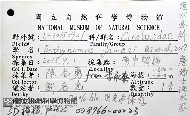 詹姆士巨深水虱藏品圖，第20張