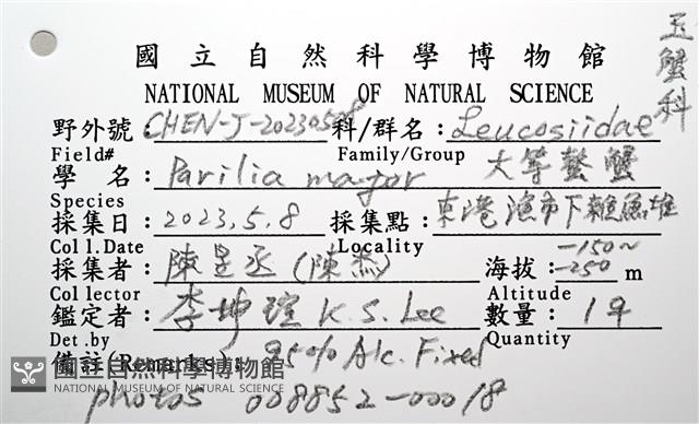 大等螯蟹藏品圖，第20張