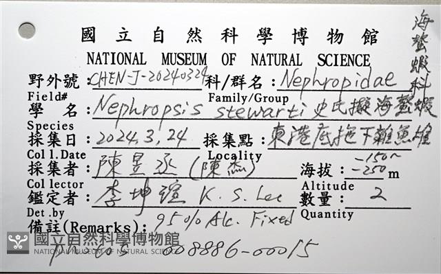 史氏擬海螯蝦藏品圖，第20張