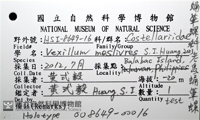 老鳥蛹筆螺藏品圖，第20張