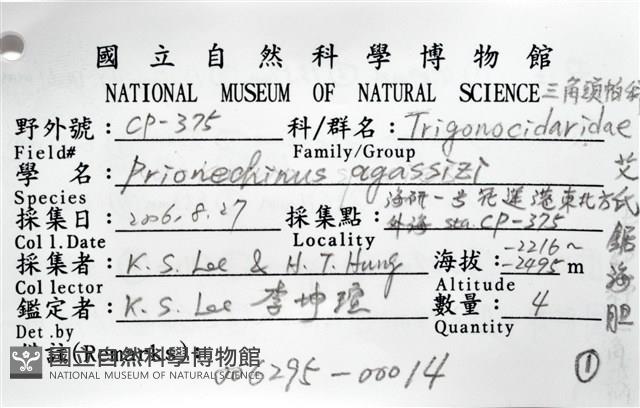 艾氏鋸海膽藏品圖，第20張