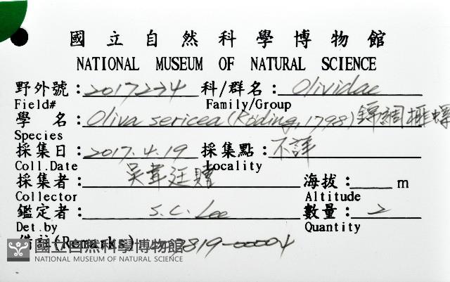 錦綢榧螺藏品圖，第20張
