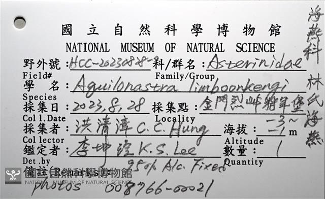 林氏海燕藏品圖，第20張
