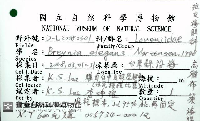 秀麗布萊海膽藏品圖，第20張