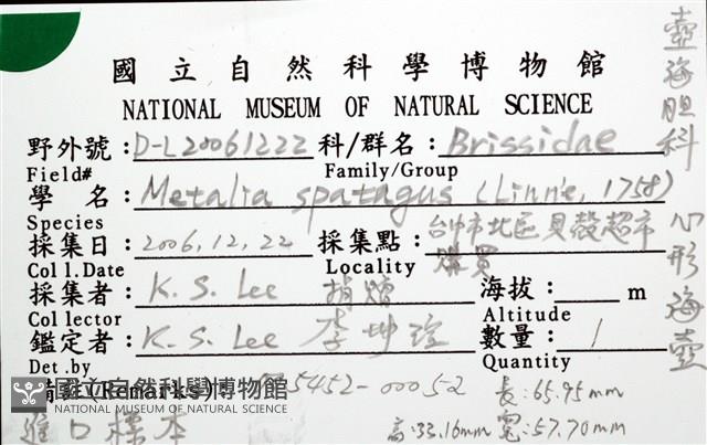 心形海壺藏品圖，第20張