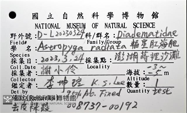 輻星肛海膽藏品圖，第20張