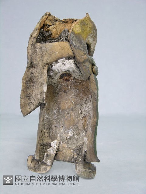 八角斗藏品圖，第134張