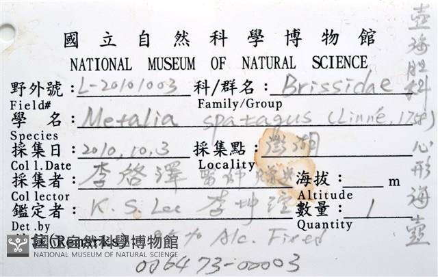 心形海壺藏品圖，第14張