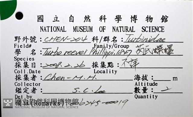 芮氏蠑螺藏品圖，第14張