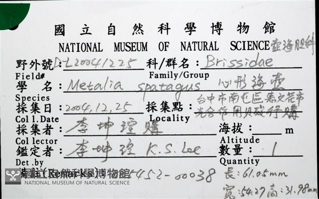心形海壺藏品圖，第14張