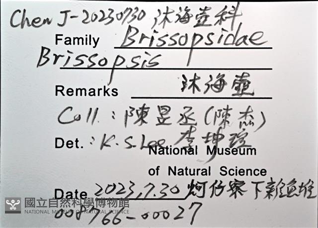呂宋沐海壺藏品圖，第14張