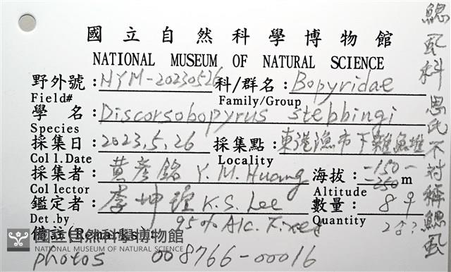 思氏不對稱鰓虱藏品圖，第14張