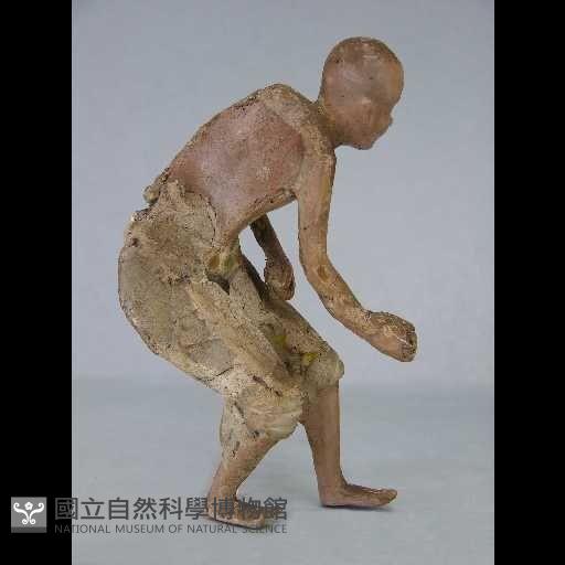 金山寺藏品圖，第14張