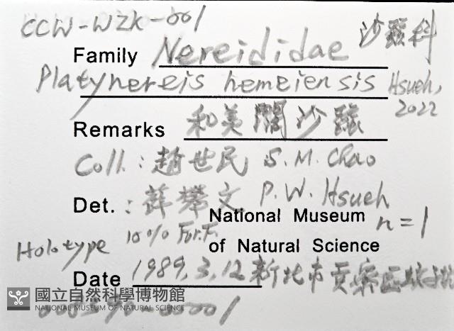 和美闊沙蠶藏品圖，第14張