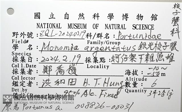 銀光梭子蟹藏品圖，第14張