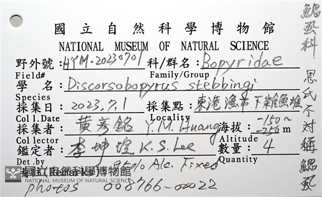 思氏不對稱鰓虱藏品圖，第14張